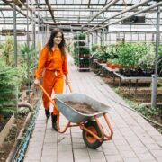 home depot garden