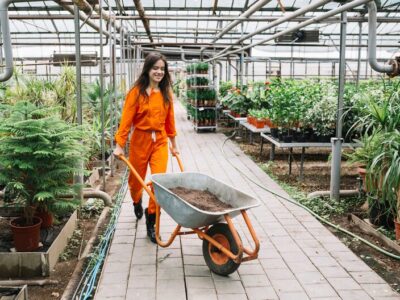 home depot garden