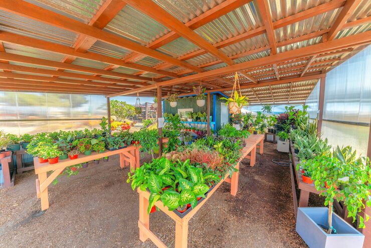 home depot garden