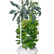 grow tower