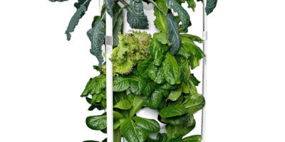 grow tower