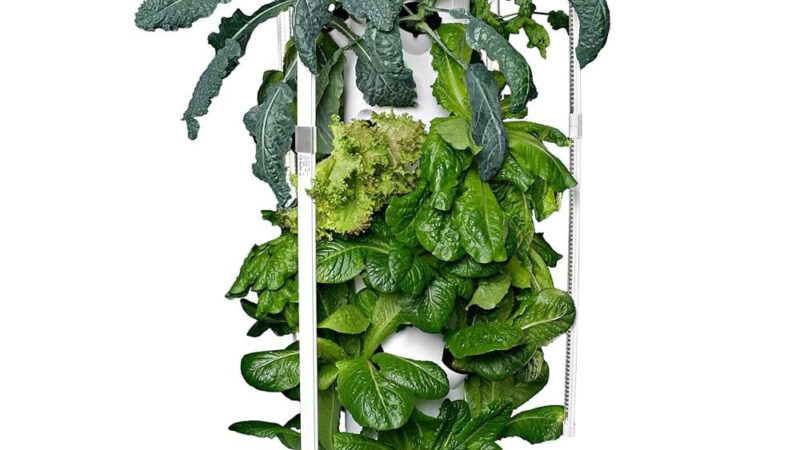 grow tower